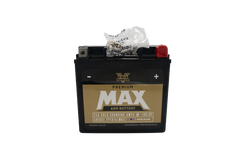 Twin Power GYZ-16HL Premium MAX Battery Replaces H-D 65958-04 Made in USA 240 CCA