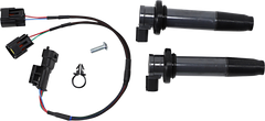 https://asset.parts-unlimited.com/media/edge/4/9/6/4961F6CC-4F78-4174-AA01-39780A13297A.png